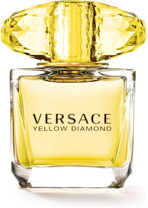 owner of versace perfume|Versace perfumes price.